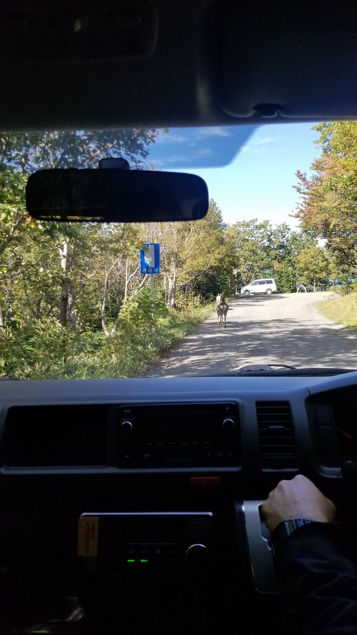 20181005_130037